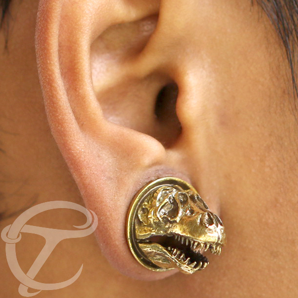 brass ear plugs