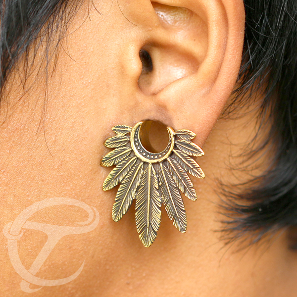 brass ear plugs