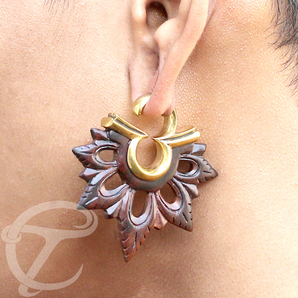 wood,ear,piercing,brass,jewelry