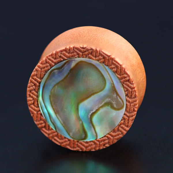 shell,wood,gauged,earplug