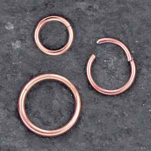 Steel Piercing Hinged Segment Rings XH 001R