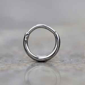 Steel Piercing Hinged Segment Rings XH 008X