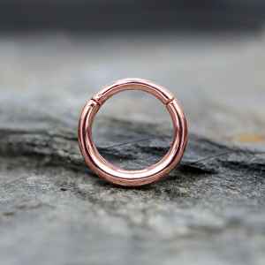 Steel Piercing Hinged Segment Rings XH 008R