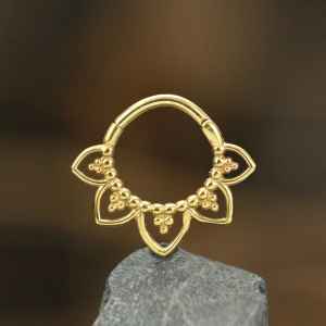 Steel Piercing Hinged Segment Rings XH 009G