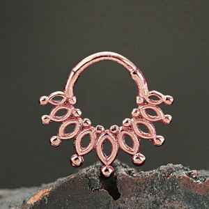 Steel Piercing Hinged Segment Rings XH 012R
