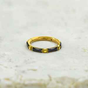 Steel Piercing Hinged Segment Rings XH 030G BK
