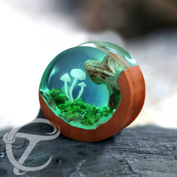 epoxy wood plug,epoxy plug,body piercing jewelry