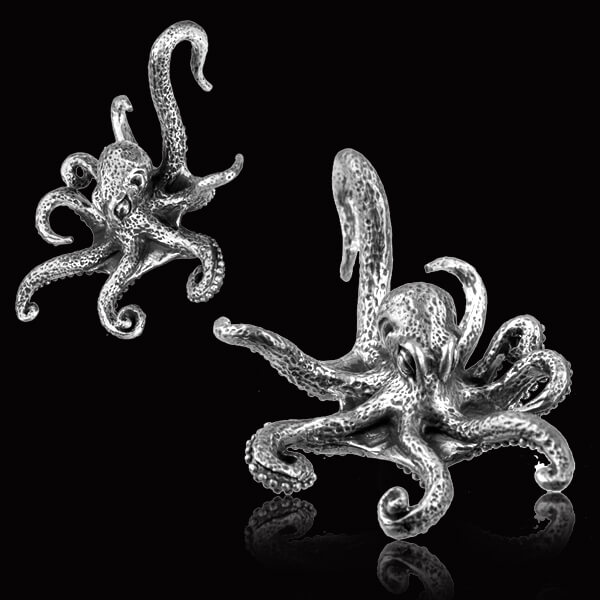 White brass ear weight