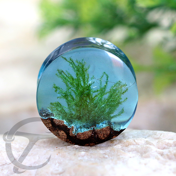 Epoxy wood plug,epoxy earplug,piercing body jewelry