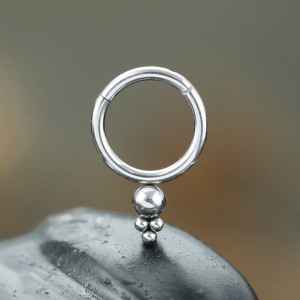 Steel Piercing Hinged Segment Rings XH 116X