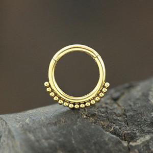 Steel Piercing Hinged Segment Rings XH 122G