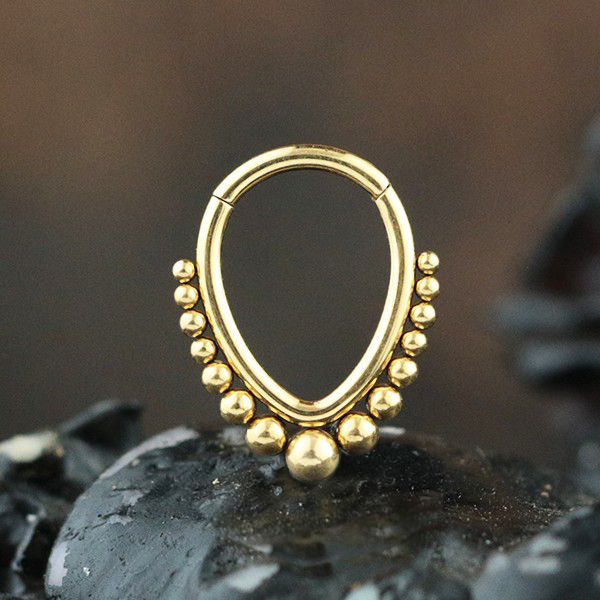 hinged segment ring,steel piercing cluster,steel body jewelry,septum piercing,tragus piercing,snug piercing