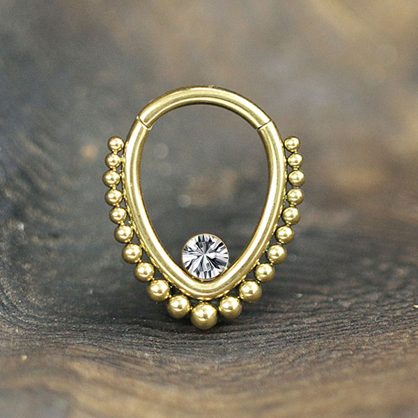steel hinged segment ring,steel piercing cluster,steel body jewelry,snug piecing,helix piercing,septum piercing