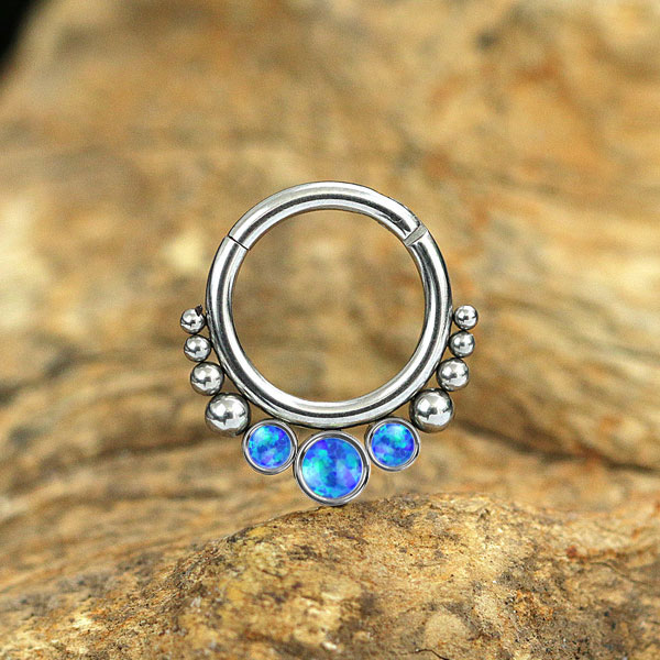 steel hinged segment rings,steel cluster piercing,steel body jewelry,snug piercing,tragus piercing,septum piercing,steel body piercing wholesale