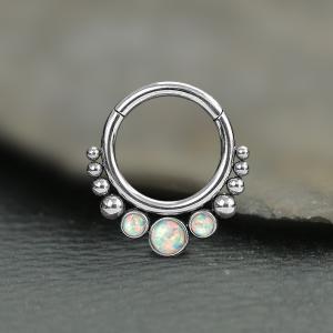 Steel Piercing Hinged Segment Rings XH 135X OW