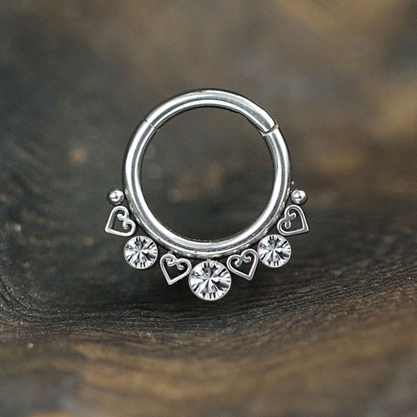 steel hinged segment rings,steel cluster piercing,steel body jewelry,tragus piercing,daith piercing,septum piercing,wholesale steel body piercing jewelry