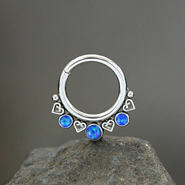 steel hinged segment rings,steel cluster piercing,steel body jewelry,tragus piercing,daith piercing,septum piercing,wholesale steel body piercing jewelry