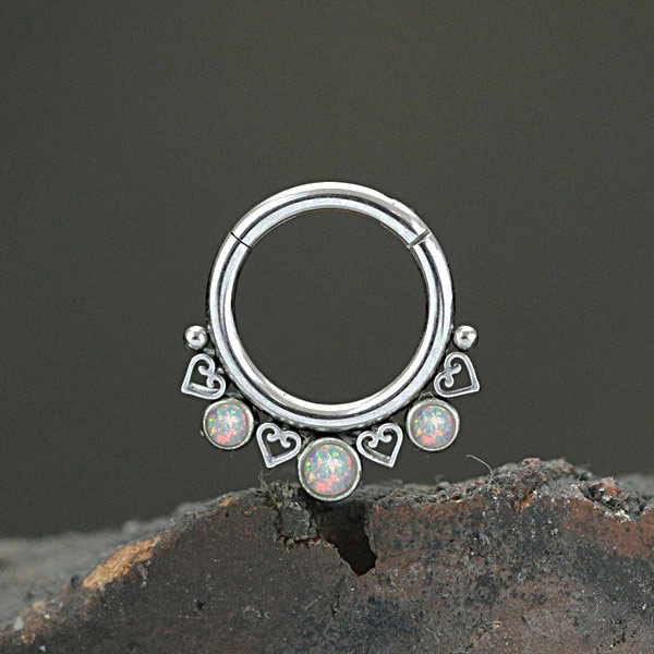 steel hinged segment rings,steel cluster piercing,steel body jewelry,tragus piercing,daith piercing,septum piercing,wholesale steel body piercing jewelry