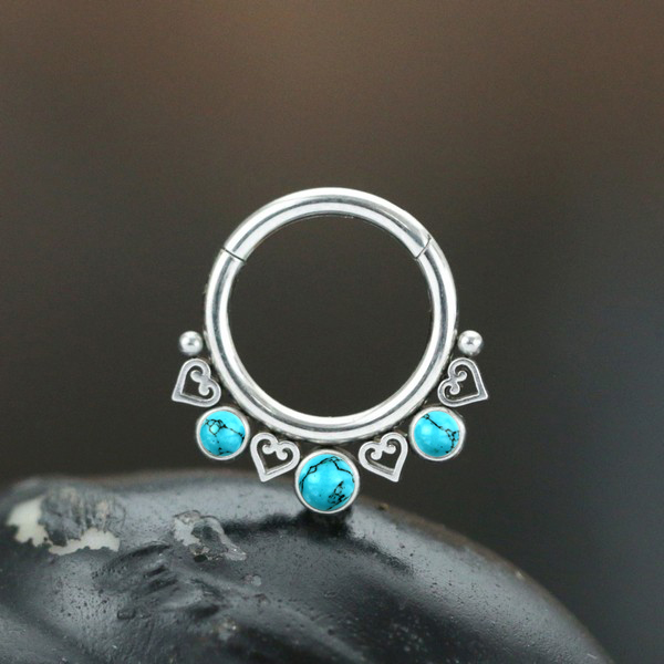 steel hinged segment rings,steel cluster piercing,steel body jewelry,tragus piercing,daith piercing,septum piercing,wholesale steel body piercing jewelry