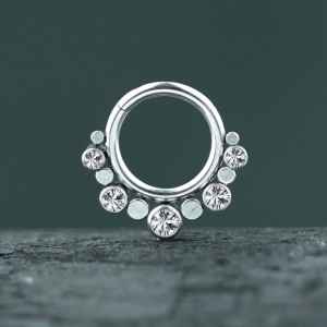 Steel Piercing Hinged Segment Rings XH 138X CZ