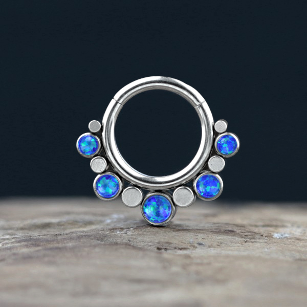 steel body jewelry,hinged steel segment ring,septum piercing,tragus piercing,rook piercing