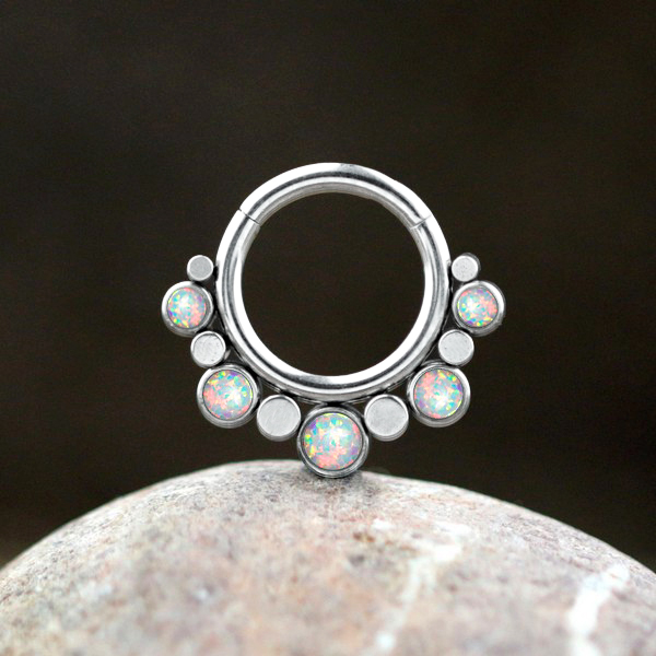 steel body jewelry,hinged steel segment ring,septum piercing,tragus piercing,rook piercing